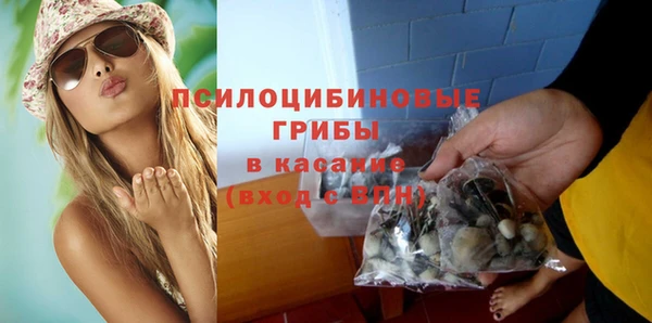 гашик Алексеевка