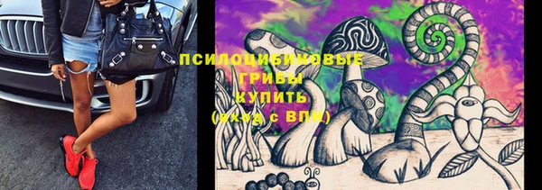 2c-b Алзамай