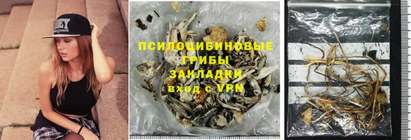 гашик Алексеевка