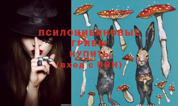 2c-b Алзамай